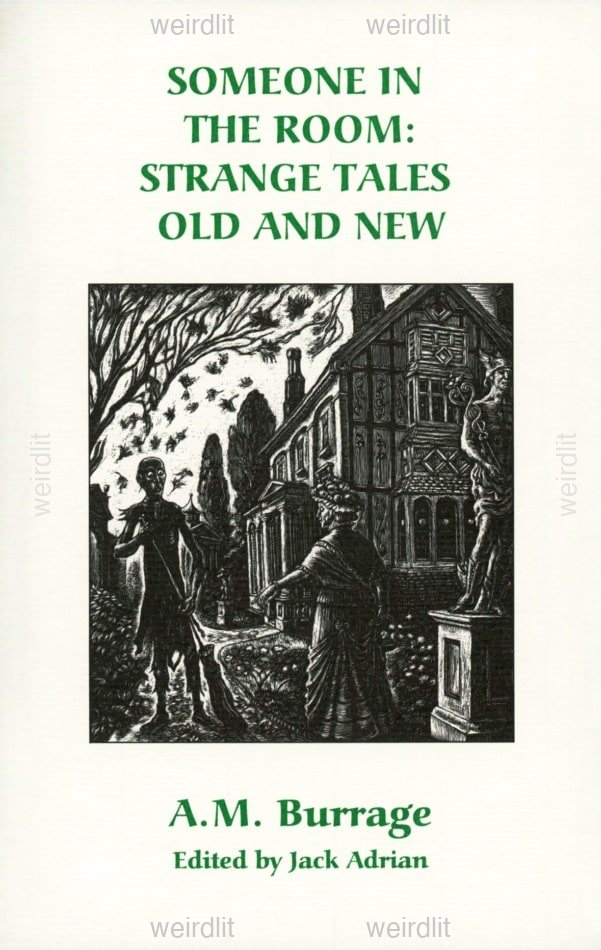 Someone in the Room: Strange Tales Old and New
