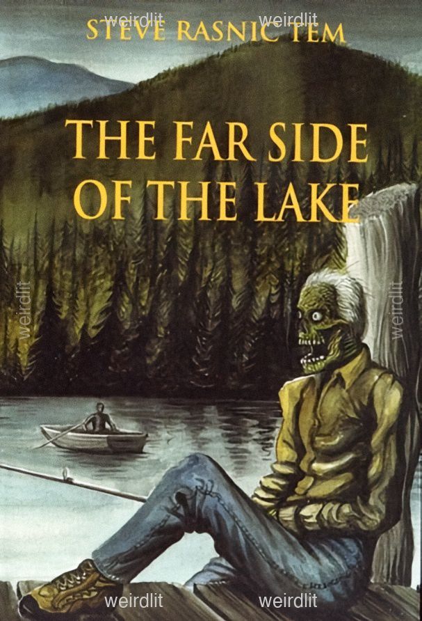 The Far Side of The Lake