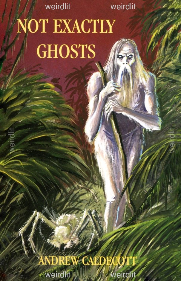 Not Exactly Ghosts